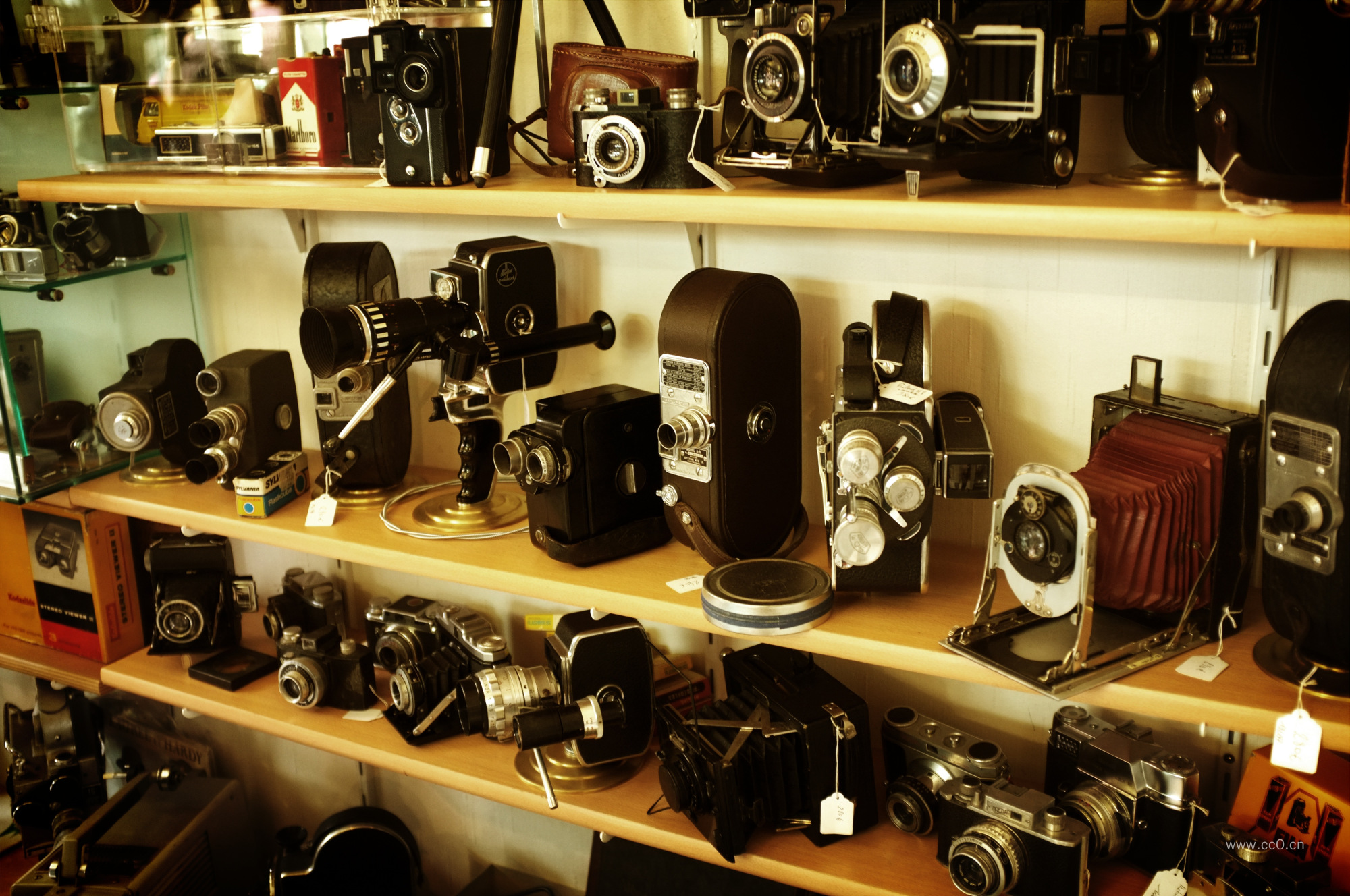 货架上的古典相机