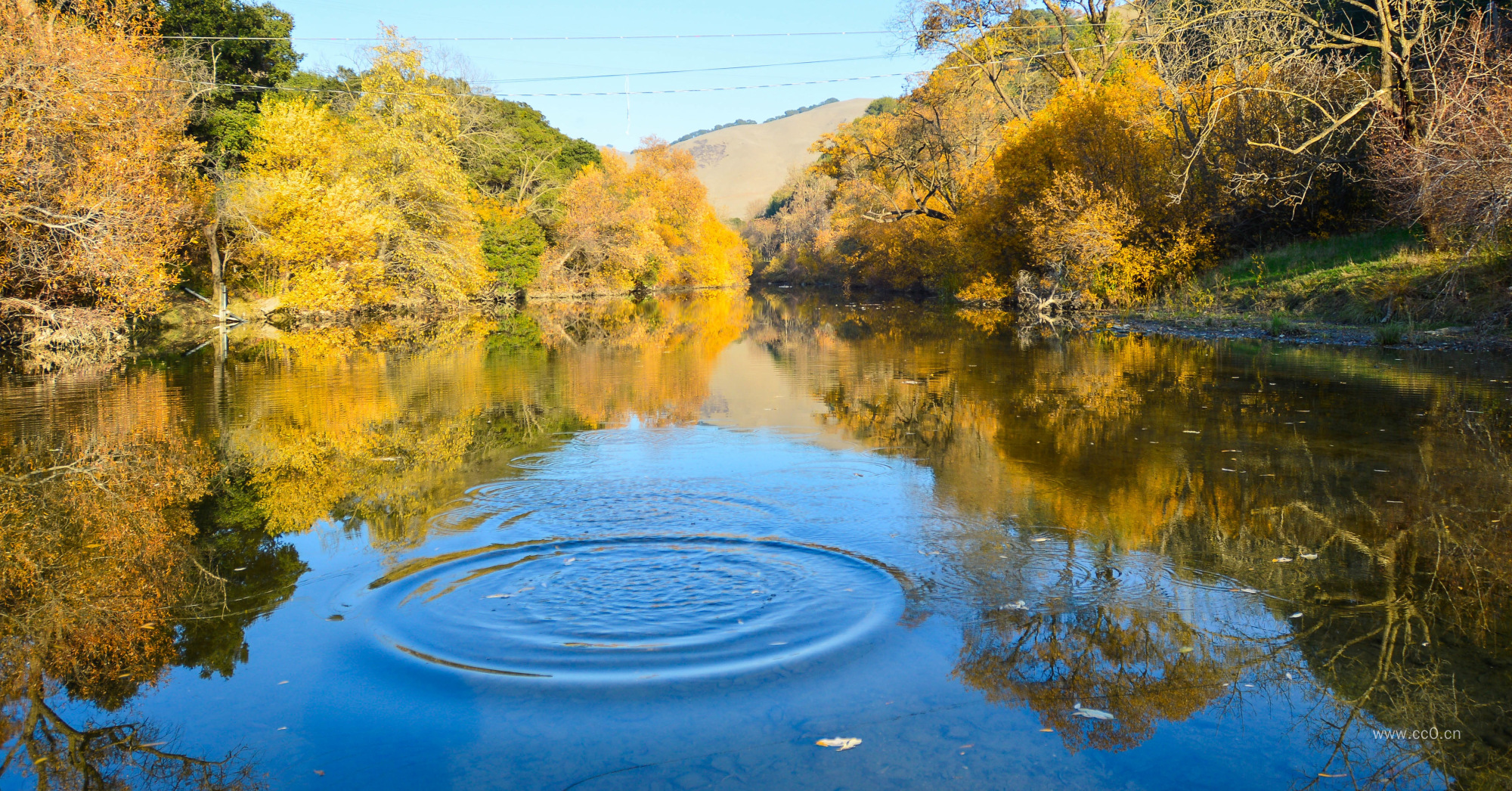 秋天的池塘与涟漪图片