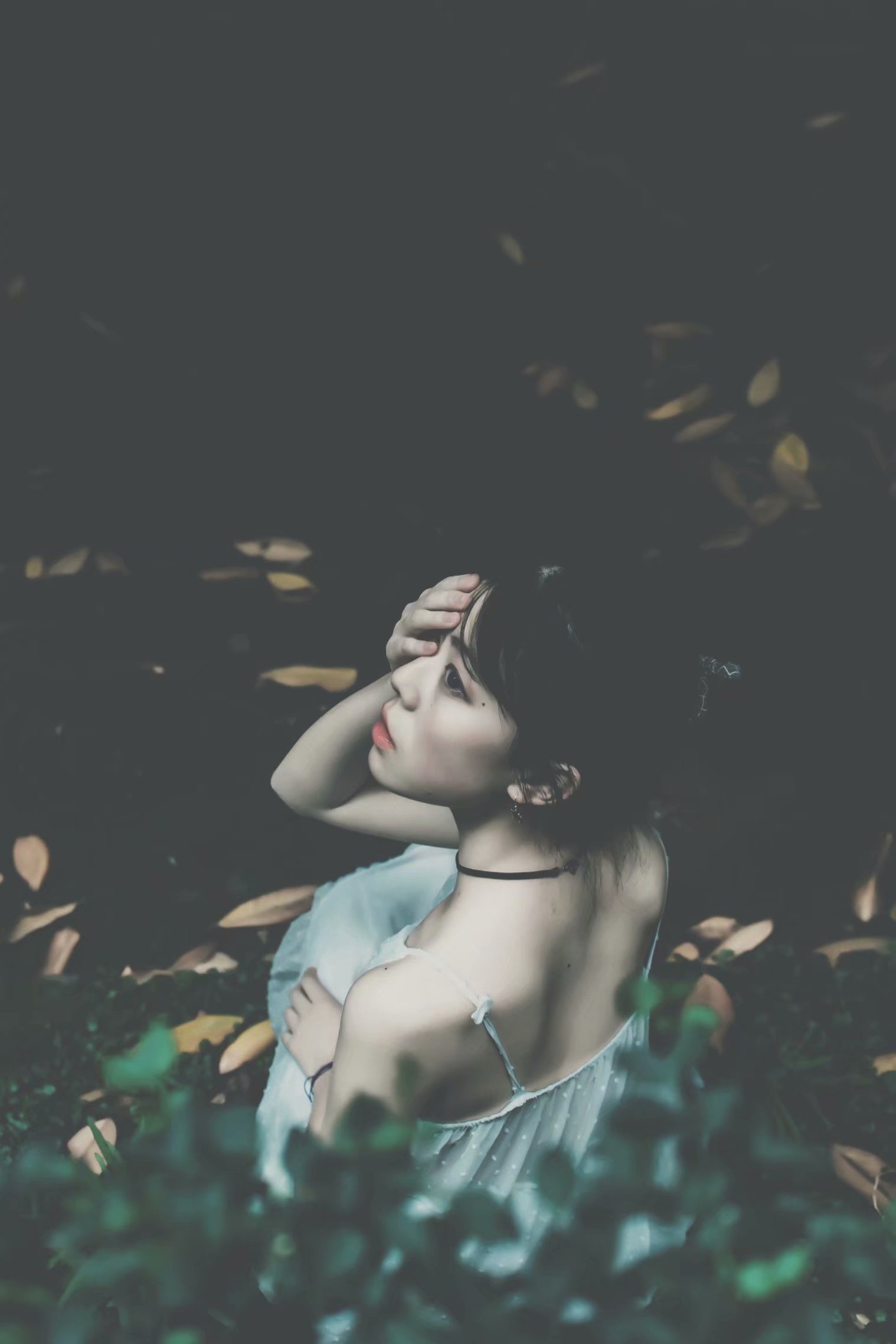 湖南省衡阳市空幽