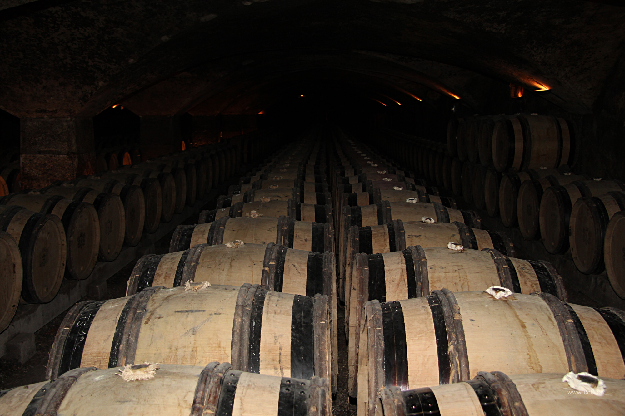 酒窖存放的酒桶图片