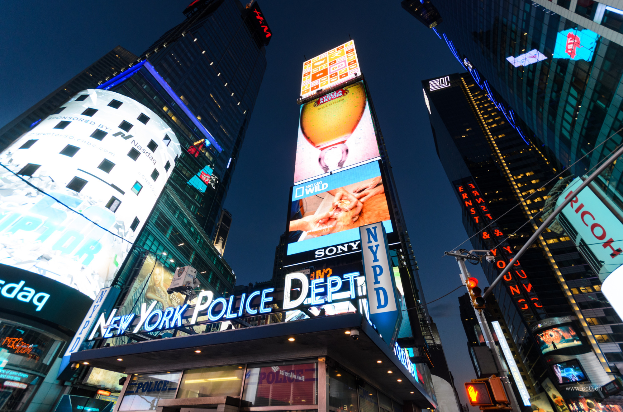 纽约时代广场的摩天大楼夜景图片