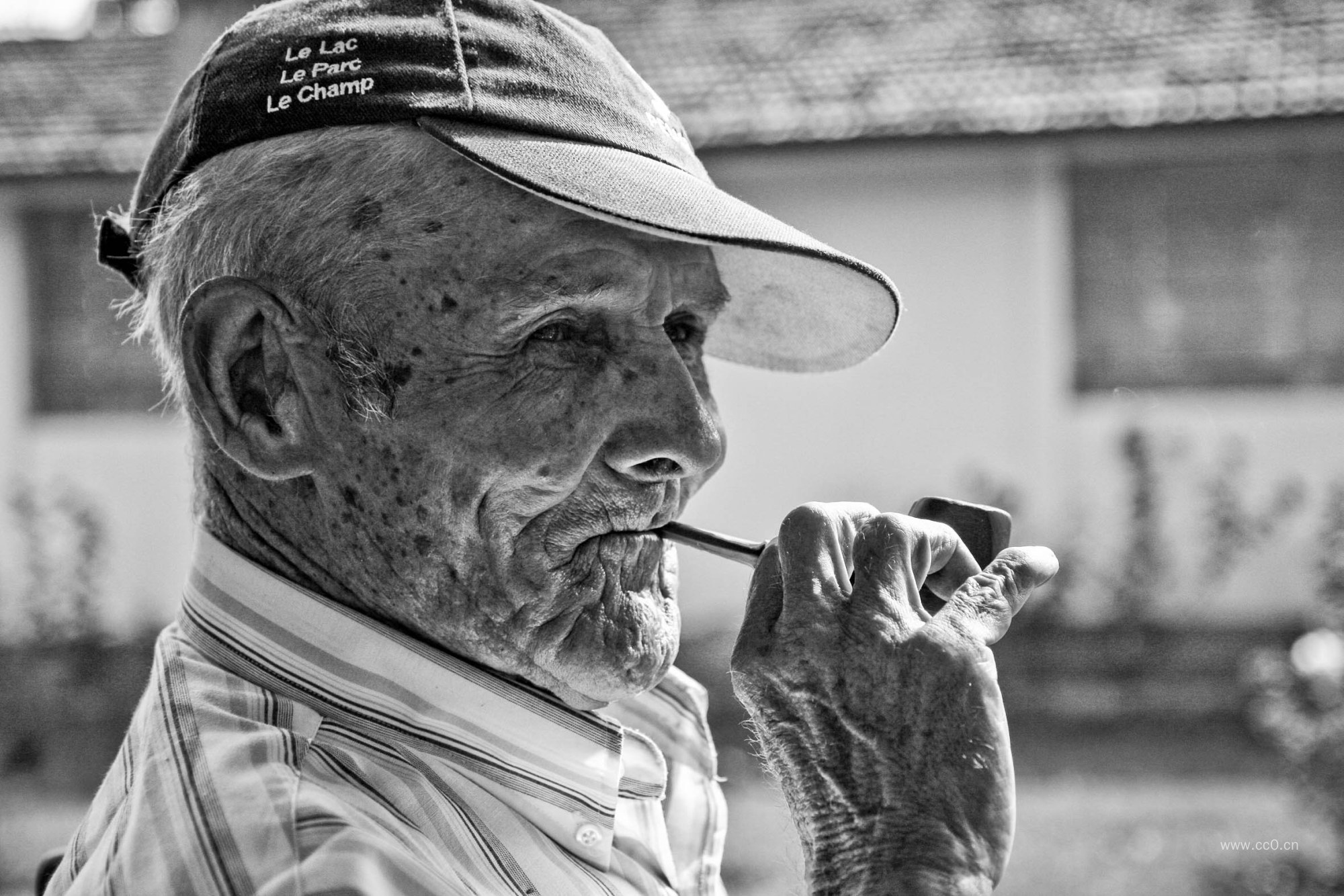 拿着烟斗的老年人物肖像