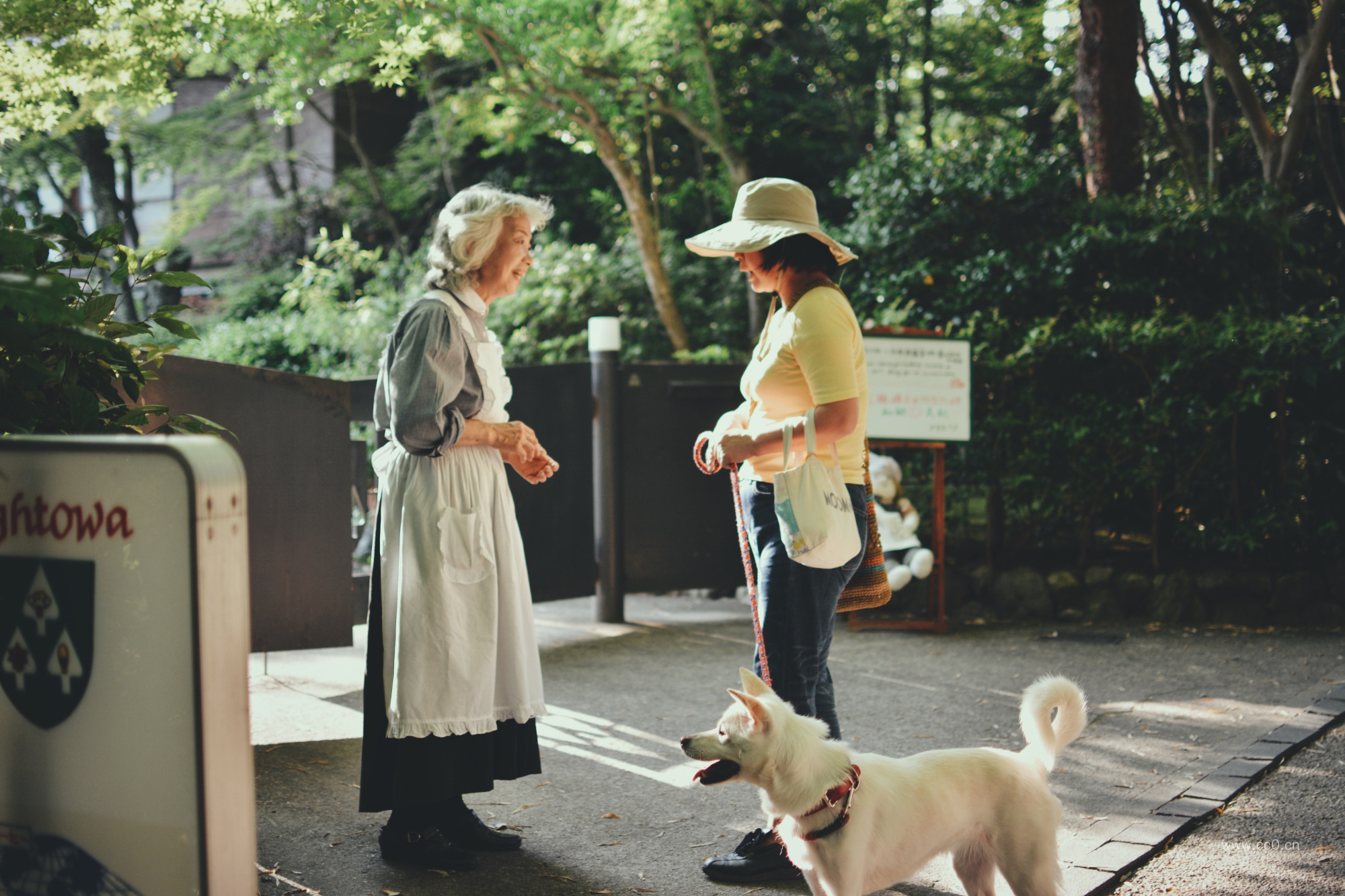 正在交谈的女性人物图片