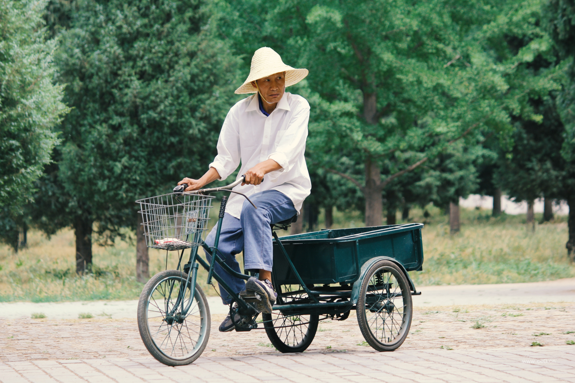 骑三轮自行车的老年人