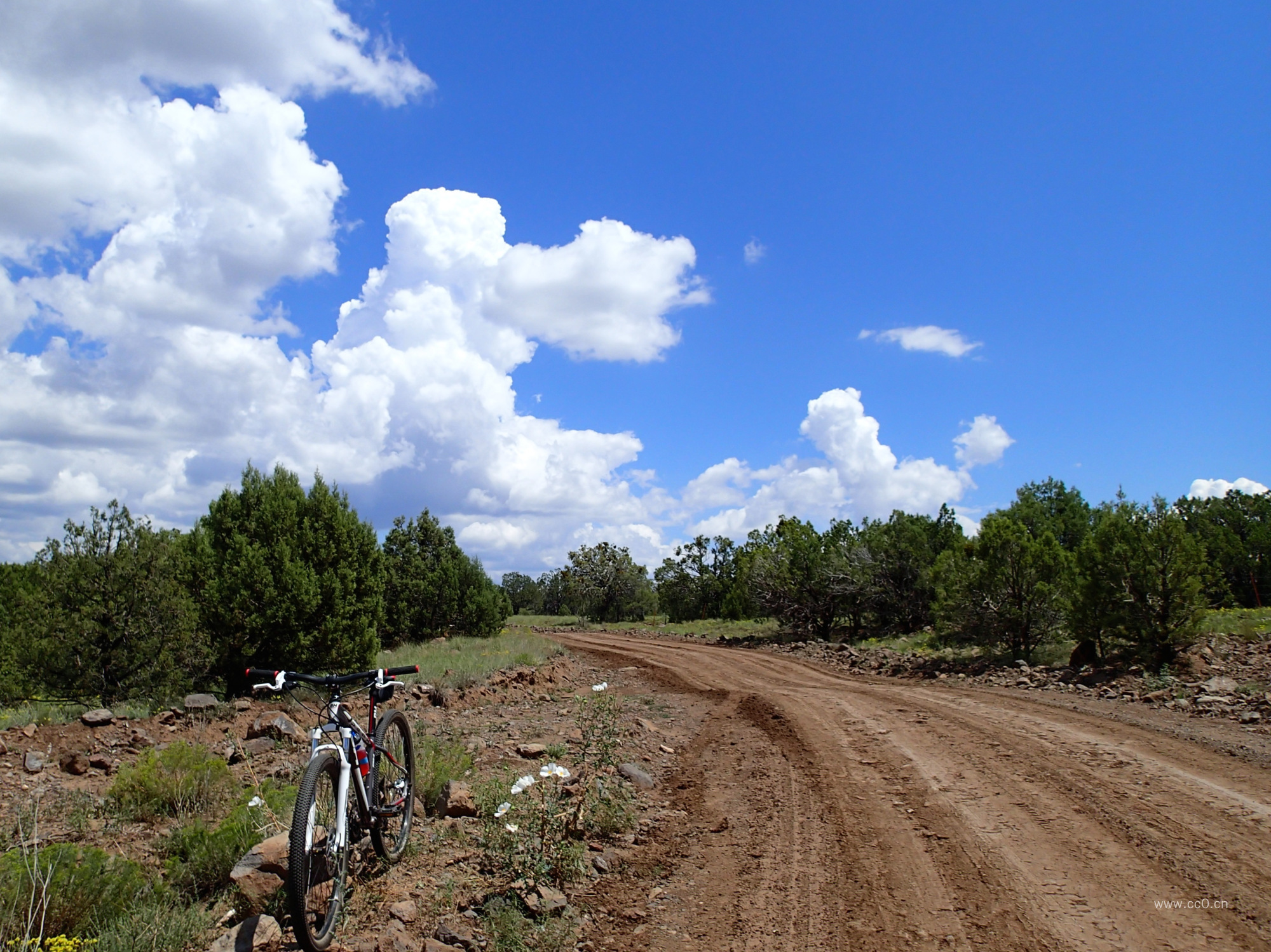 泥泞的乡村公路图片