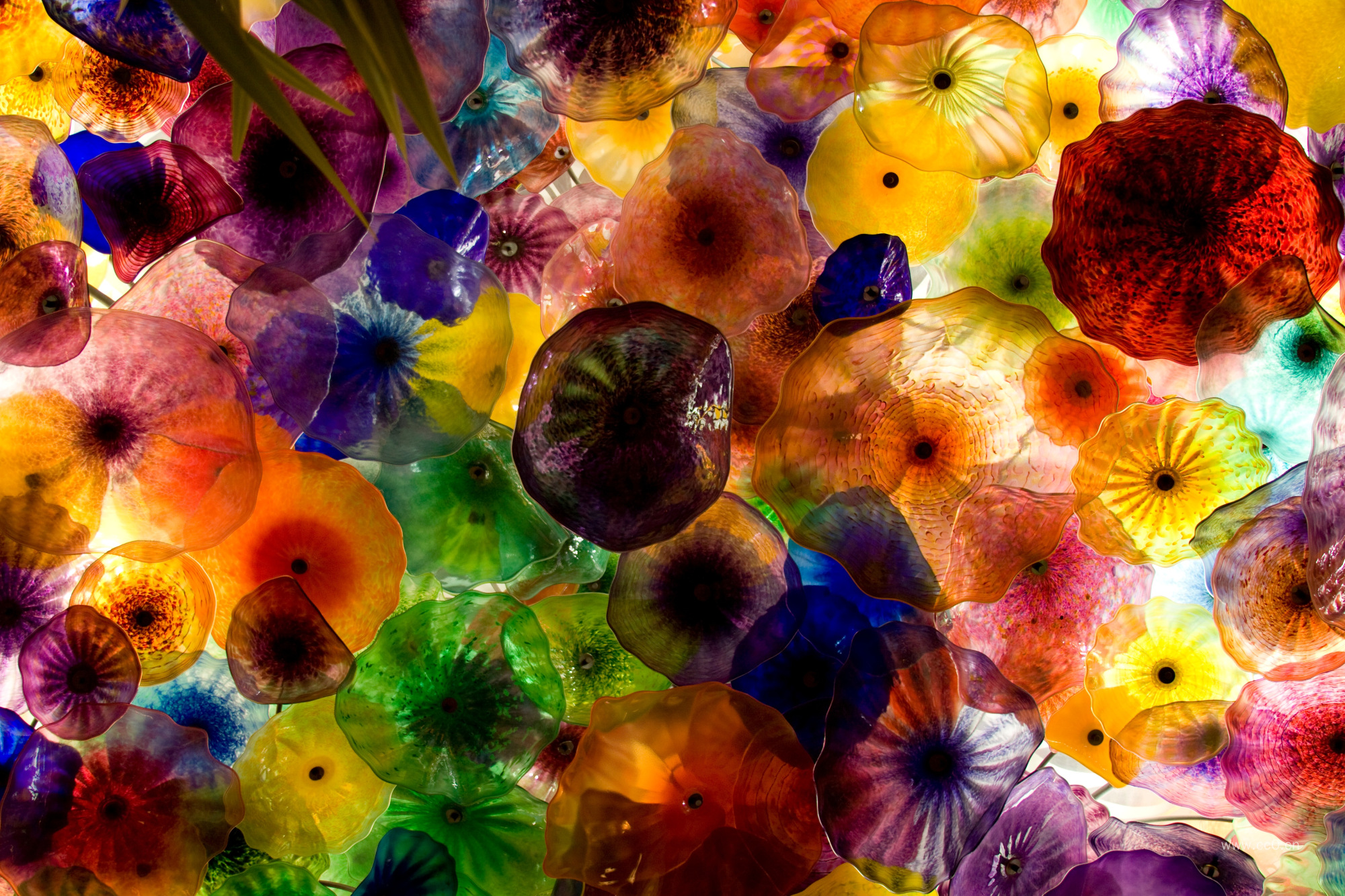 彩色玻璃上多彩的花纹背景图片