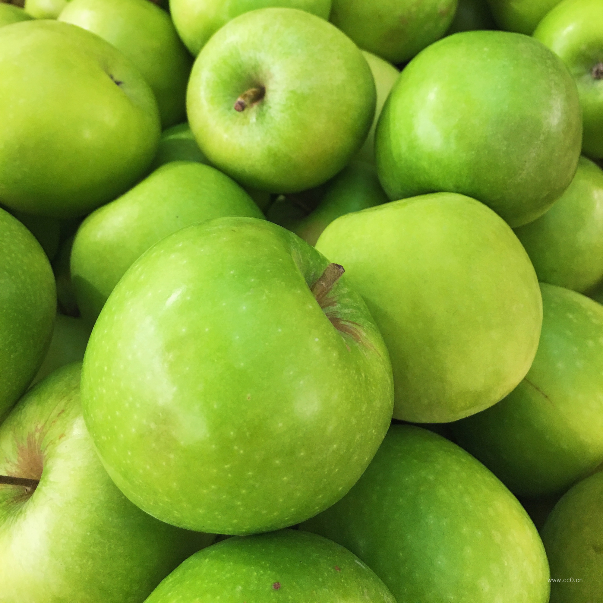 绿色的青苹果图片