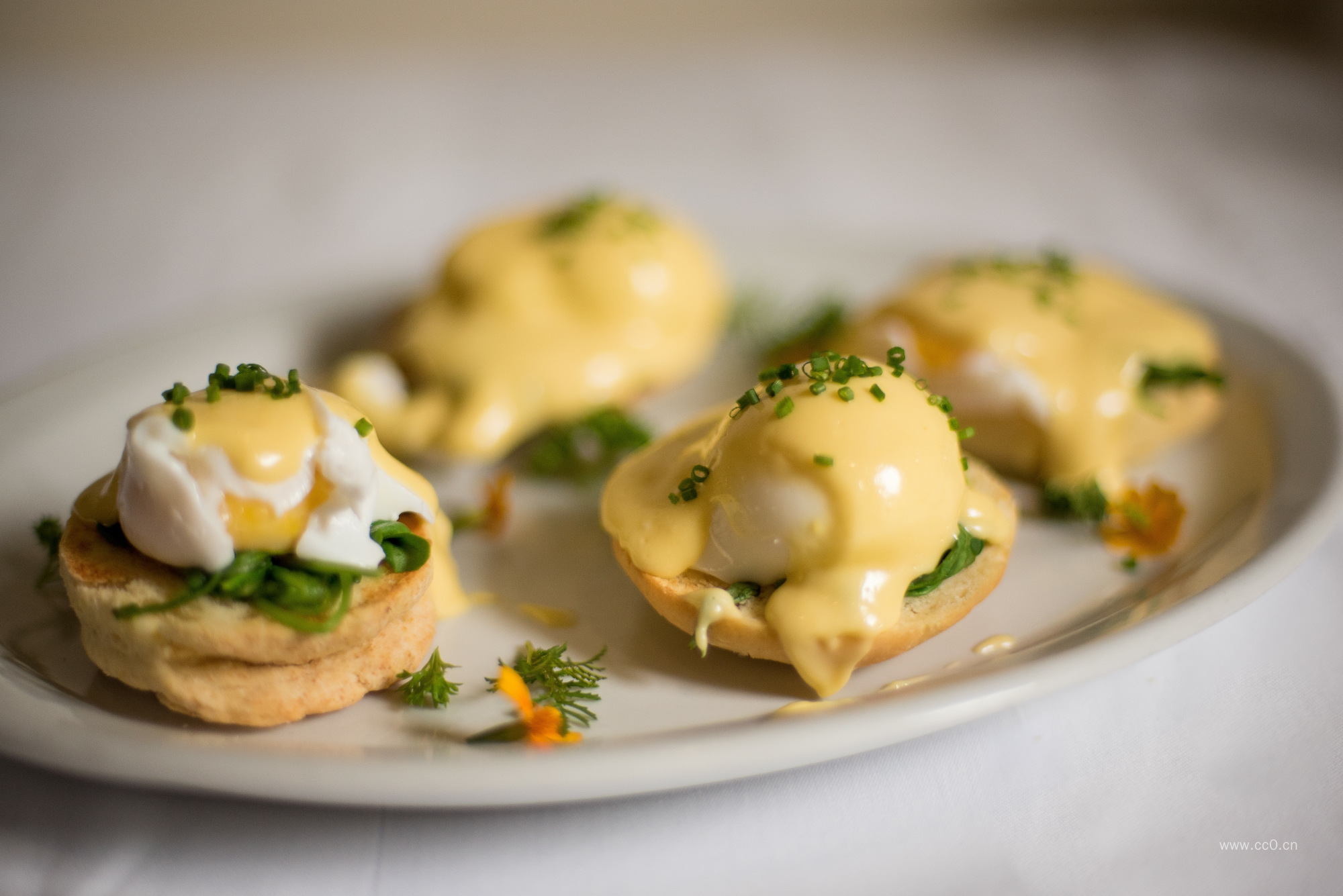 盘子里的美食食物图片
