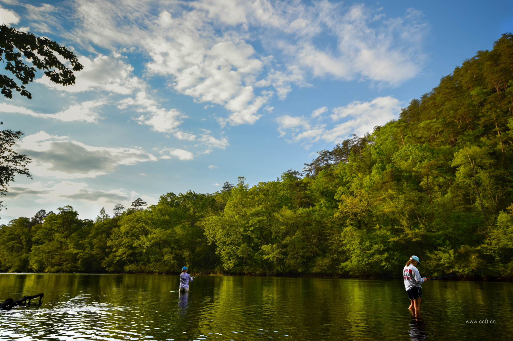 河里钓鱼的人物