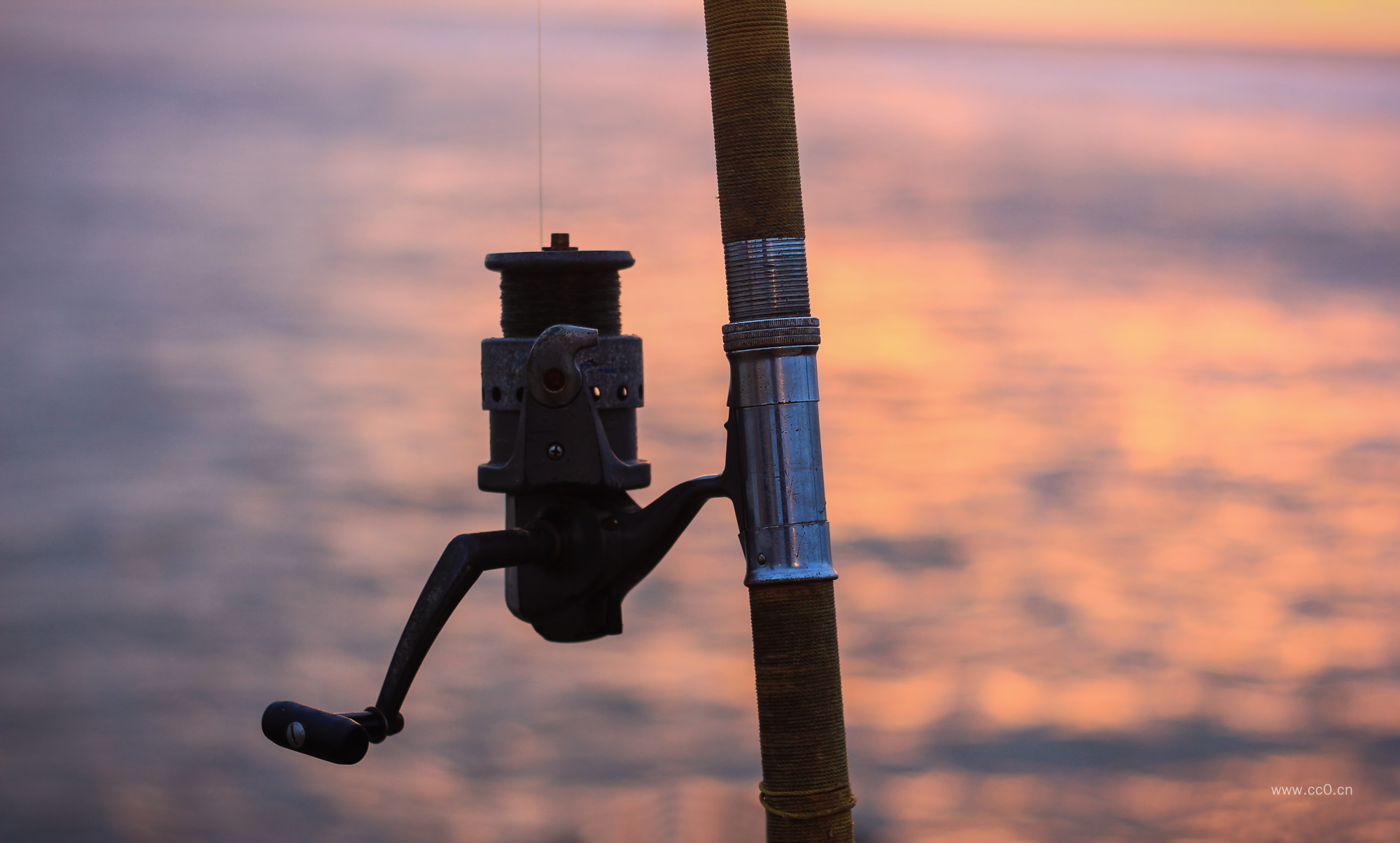 钓鱼鱼竿的图片