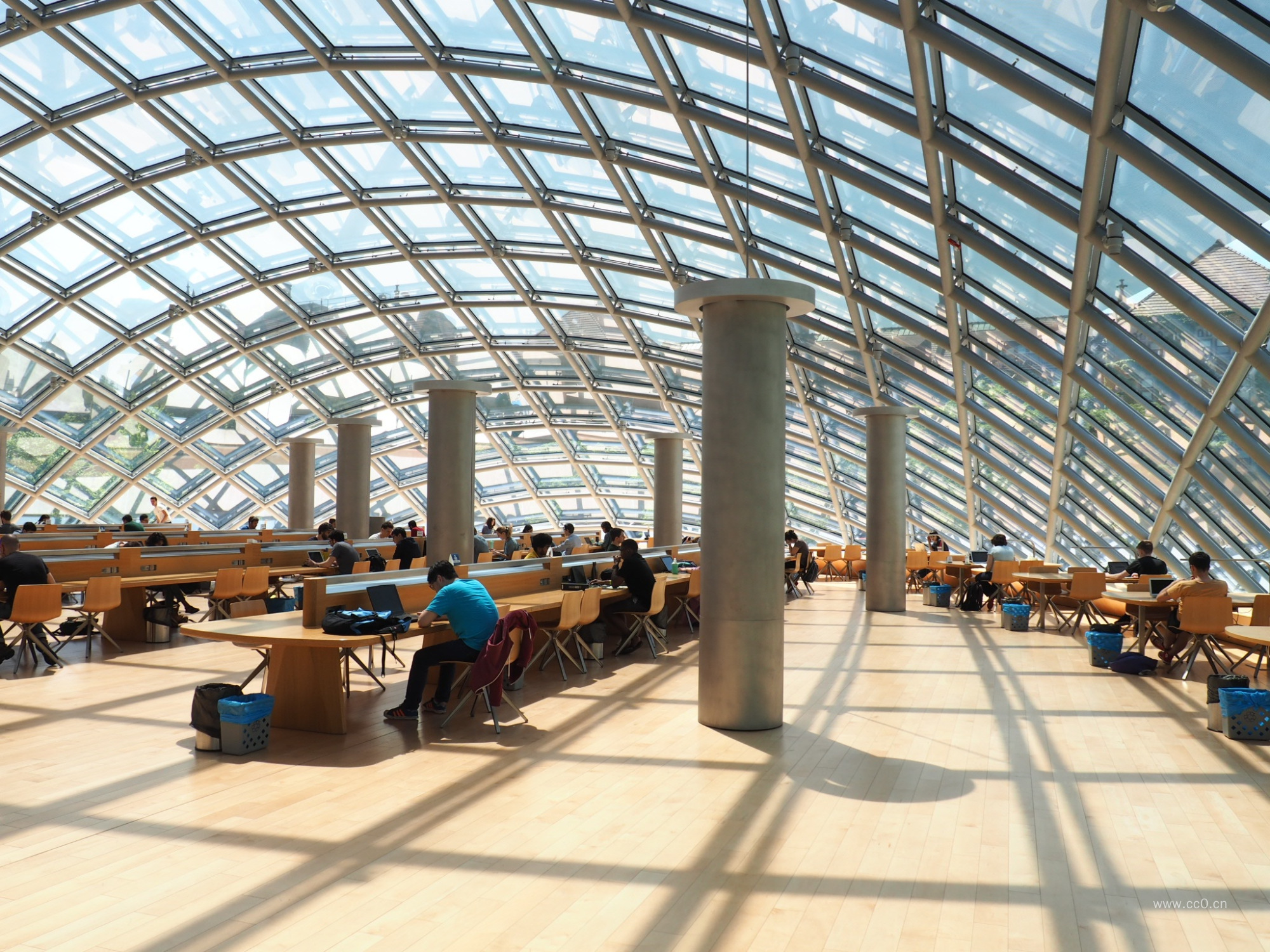 图书馆里阅读的人物