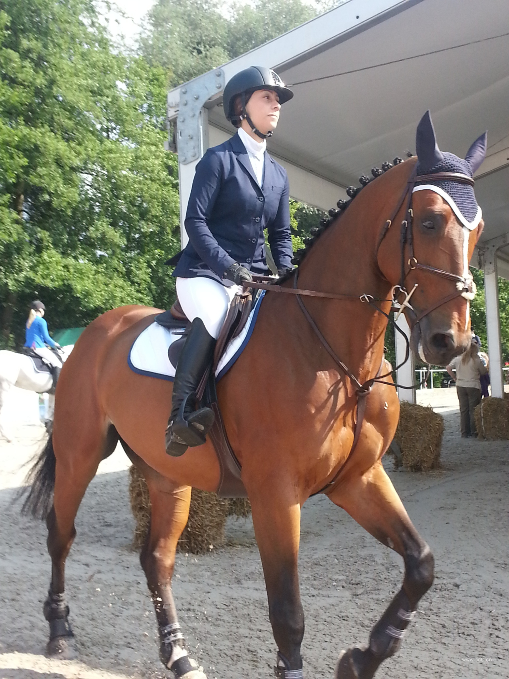 骑马的骑手人物图片