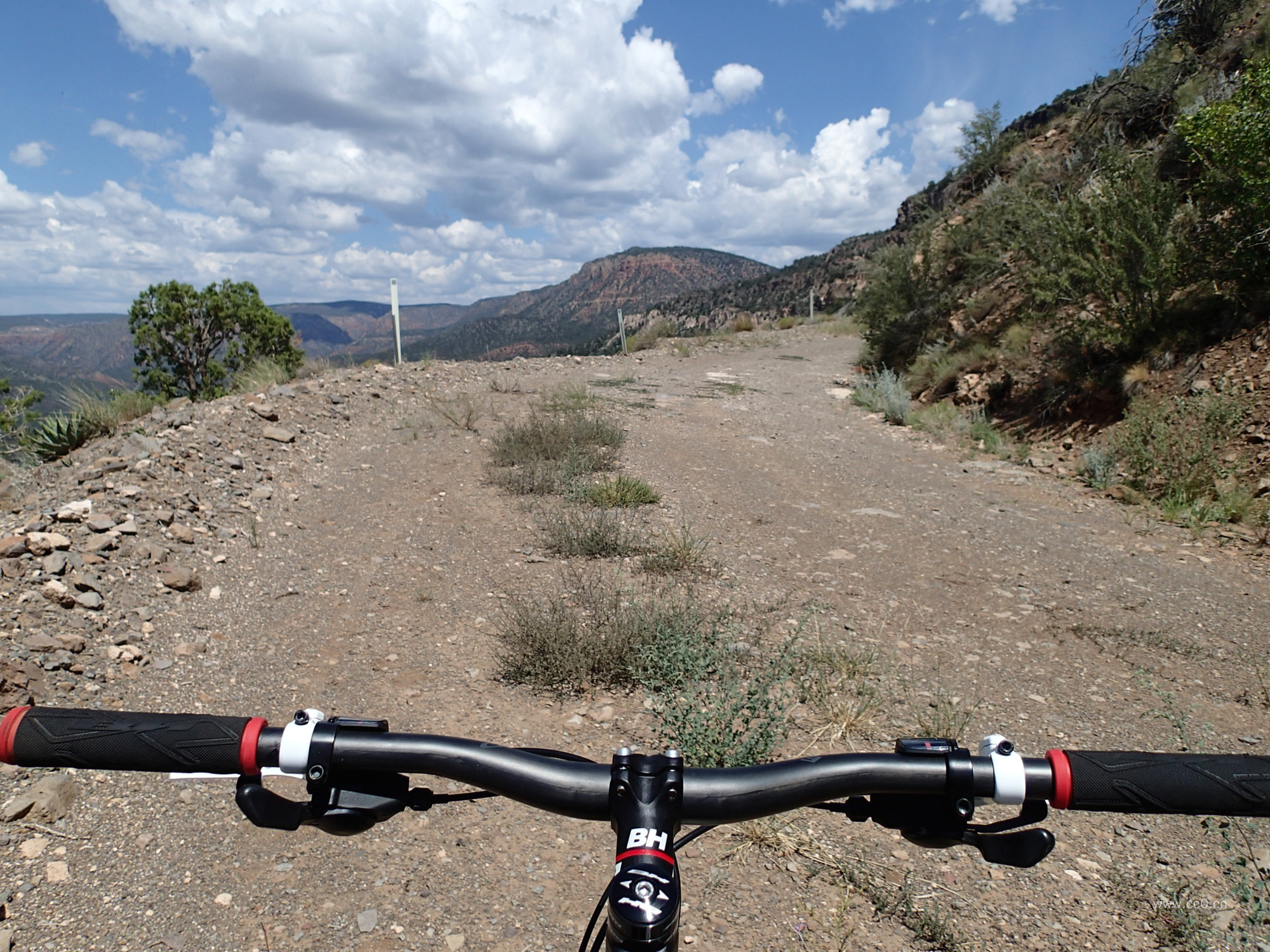 骑自行车行驶在乡村路上