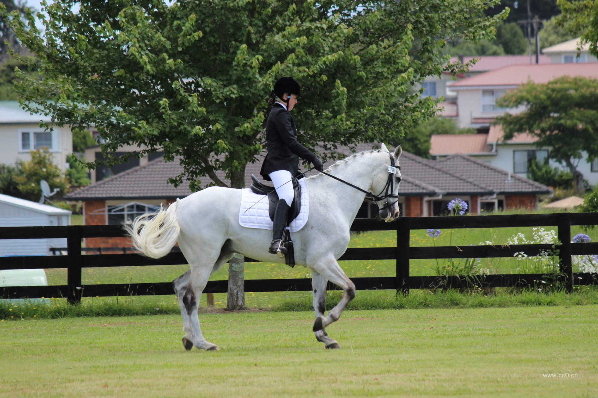 马场骑白马的女人
