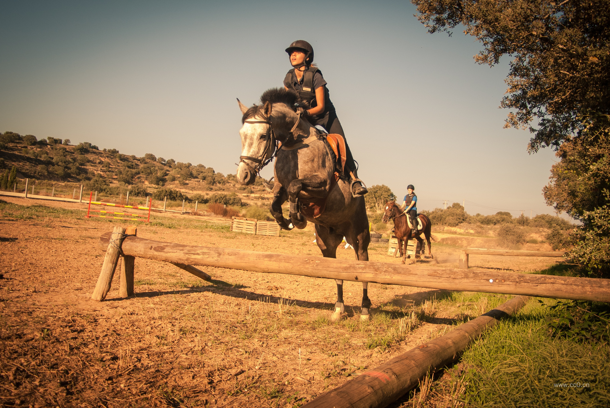 骑马、跨越、运动、马匹