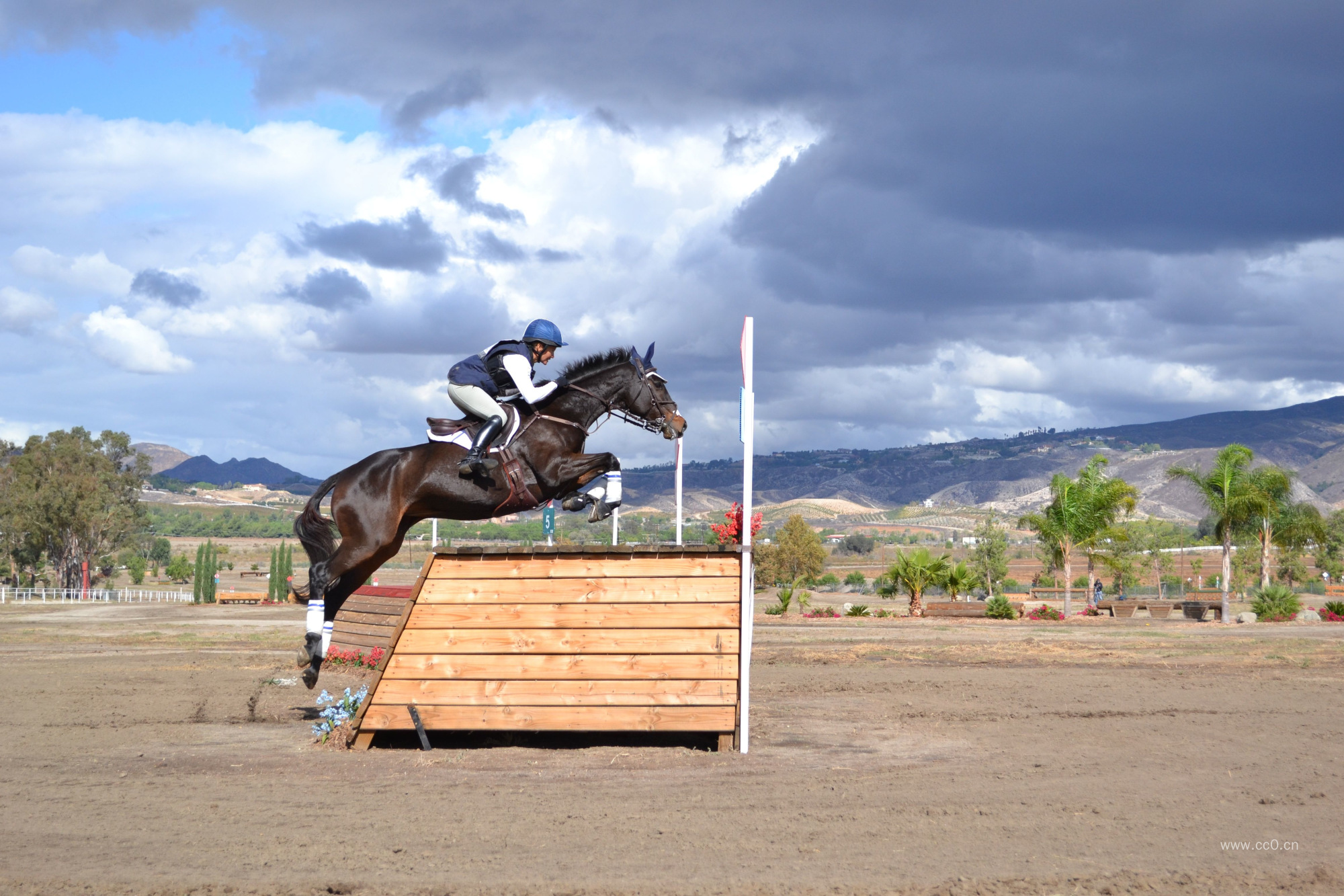 骑马跨栏