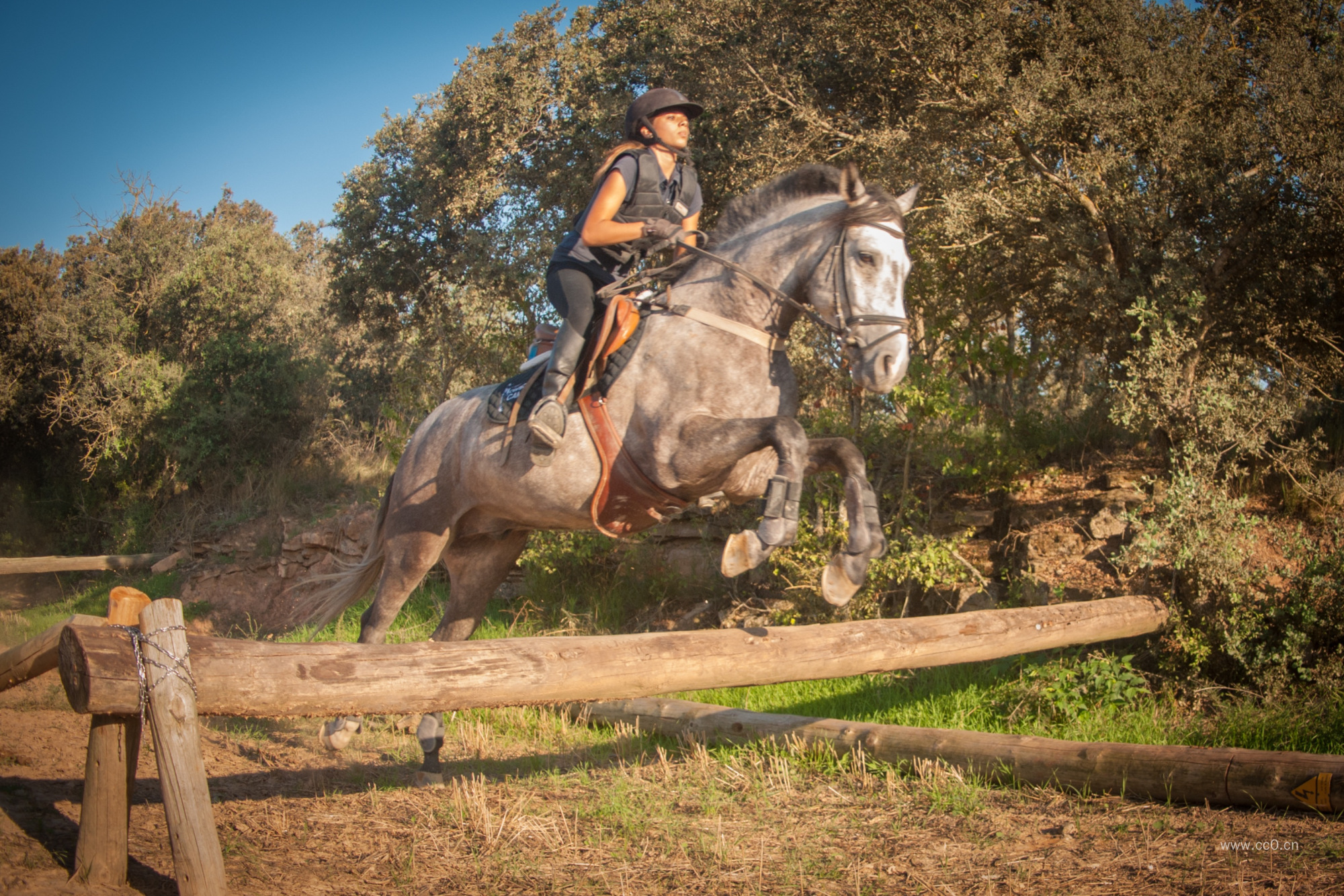 骑马跨越的人物与马匹图片