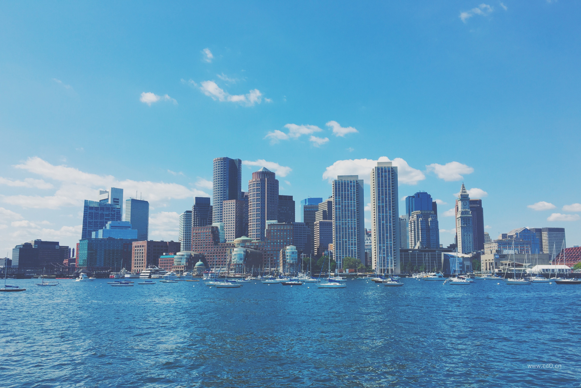 海岸城市高楼大厦