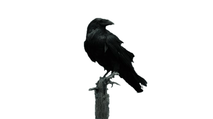 权力游戏-三眼乌鸦-在杆子上