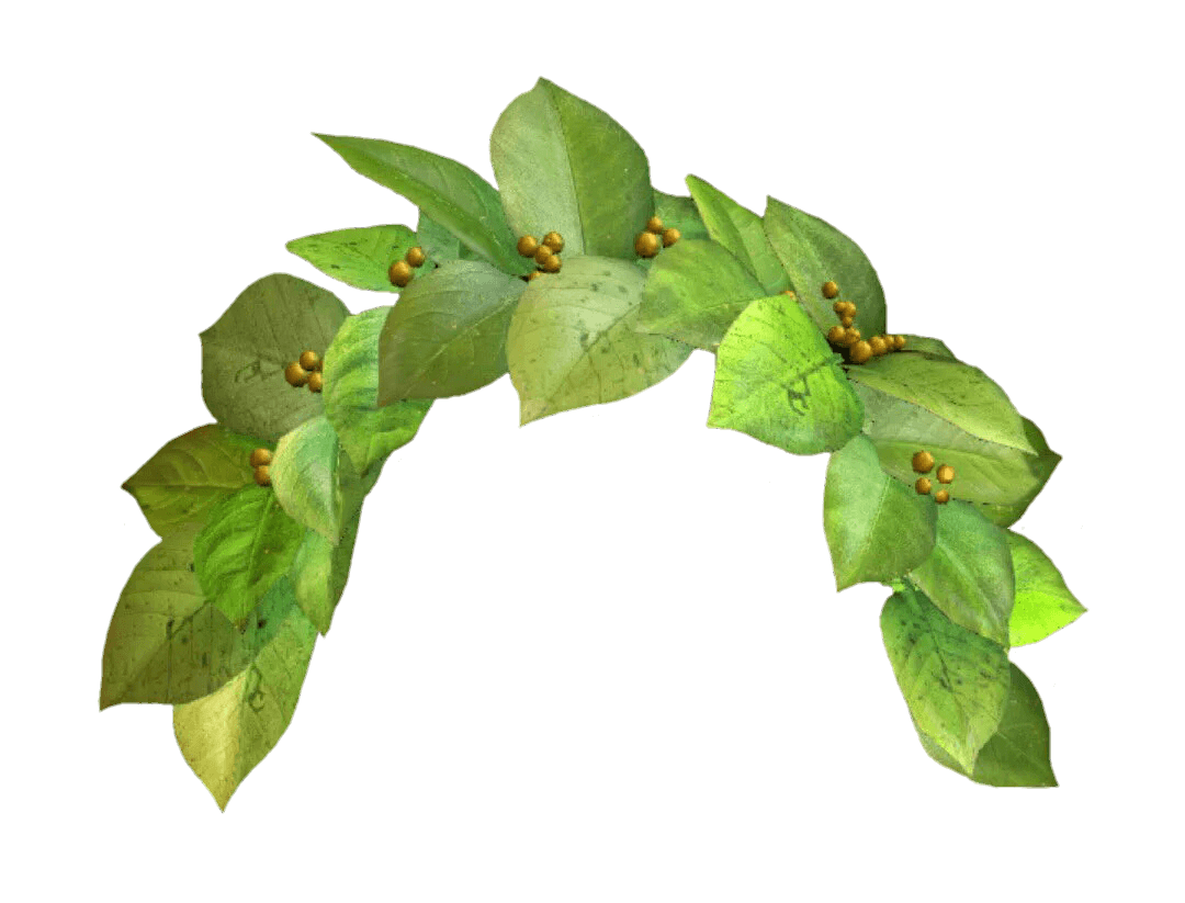 Snapchat过滤器绿色皇冠