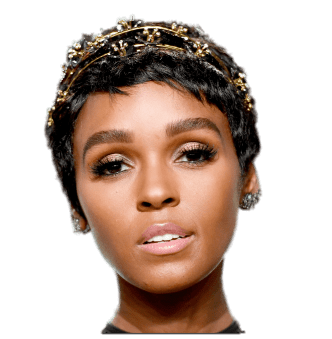 珍妮尔·莫娜精致的皇冠