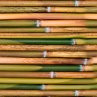 可平铺的竹子纹理素材