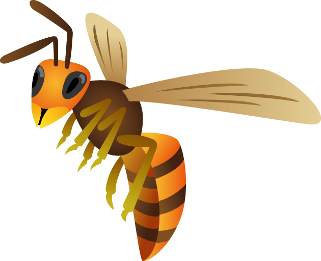 黄蜂