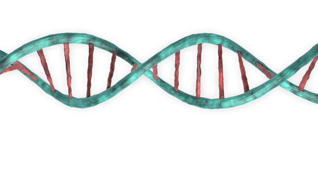 DNA